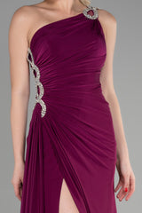 Evora Plum Gown