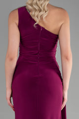 Evora Plum Gown