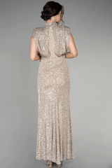 Dilara Gold Sequin Gown