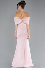 Lyra Pink Laced Boat Neck Long Sleeve Fish Cut Gown