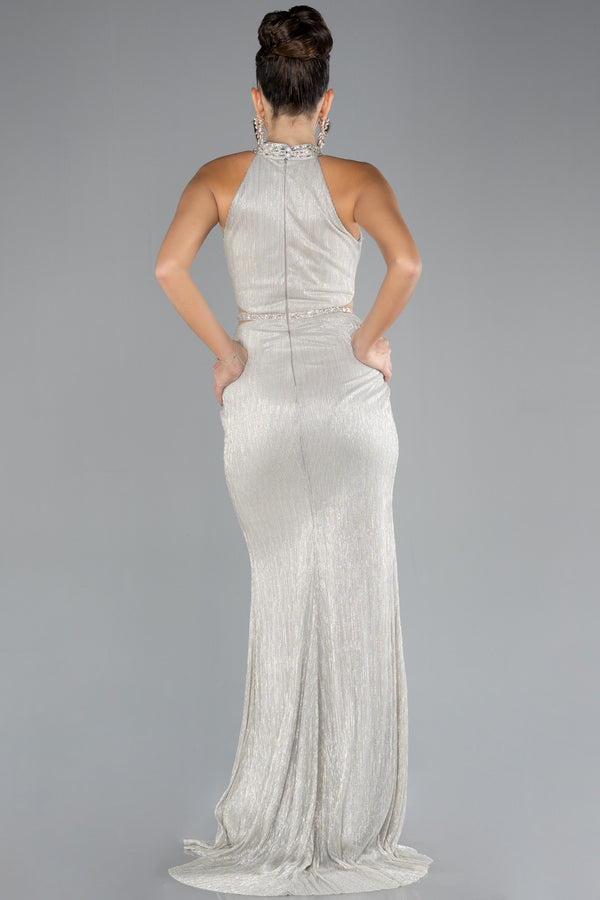 Esma Silver Halter Neck Gown