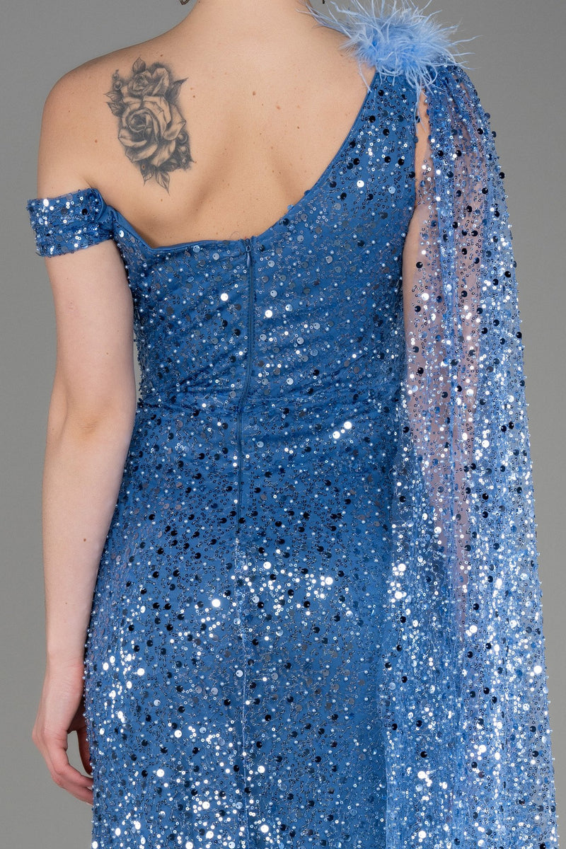 Donna Blue Cape Gown