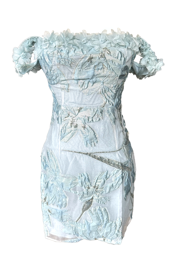 Lottie 3D Floral Mini Dress
