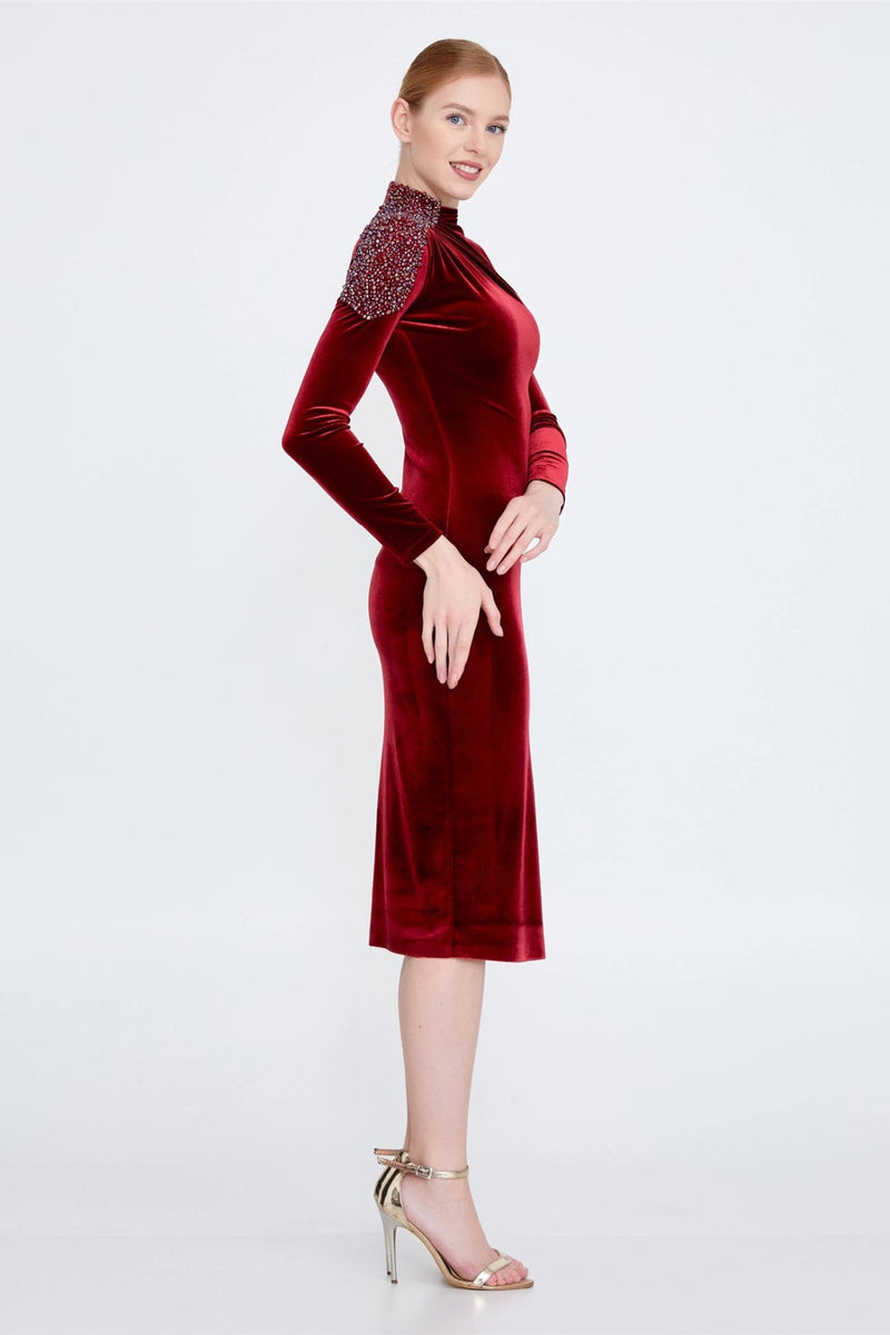 Amy Red Velvet Dress